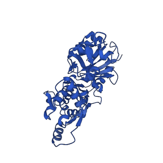 30085_6m5g_C_v1-3
F-actin-Utrophin complex