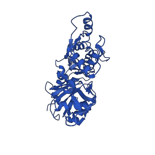 30085_6m5g_D_v1-2
F-actin-Utrophin complex