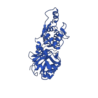 30085_6m5g_D_v1-3
F-actin-Utrophin complex