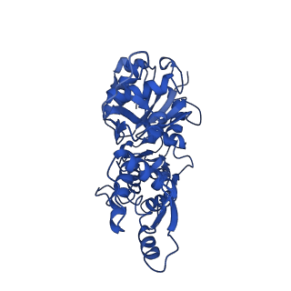 30085_6m5g_E_v1-2
F-actin-Utrophin complex