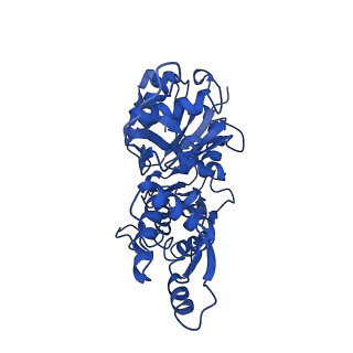 30085_6m5g_E_v1-3
F-actin-Utrophin complex