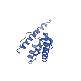 30085_6m5g_F_v1-2
F-actin-Utrophin complex