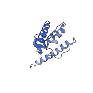 30085_6m5g_G_v1-2
F-actin-Utrophin complex