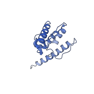 30085_6m5g_G_v1-3
F-actin-Utrophin complex