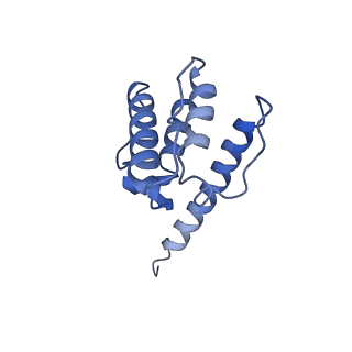 30085_6m5g_H_v1-2
F-actin-Utrophin complex