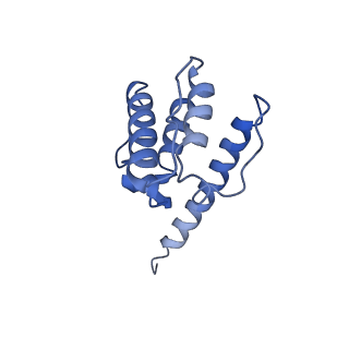 30085_6m5g_H_v1-3
F-actin-Utrophin complex