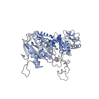 30090_6m5r_A_v1-1
The coordinates of the apo monomeric terminase complex