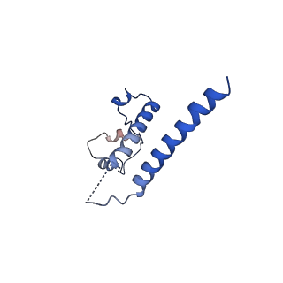 30090_6m5r_C_v1-1
The coordinates of the apo monomeric terminase complex