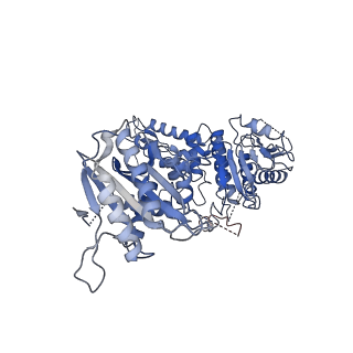 30093_6m5u_A_v1-0
The coordinates of the monomeric terminase complex in the presence of the ADP-BeF3