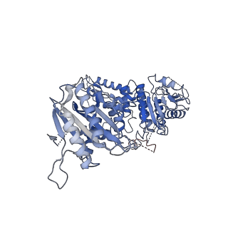 30093_6m5u_A_v1-1
The coordinates of the monomeric terminase complex in the presence of the ADP-BeF3