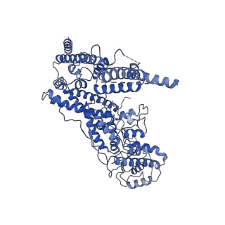 30093_6m5u_B_v1-0
The coordinates of the monomeric terminase complex in the presence of the ADP-BeF3
