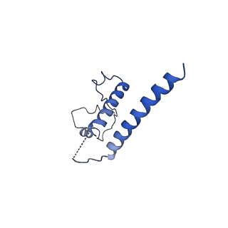 30093_6m5u_C_v1-1
The coordinates of the monomeric terminase complex in the presence of the ADP-BeF3