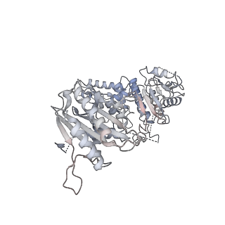 30094_6m5v_A_v1-0
The coordinate of the hexameric terminase complex in the presence of the ADP-BeF3