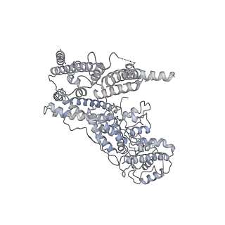 30094_6m5v_B_v1-1
The coordinate of the hexameric terminase complex in the presence of the ADP-BeF3