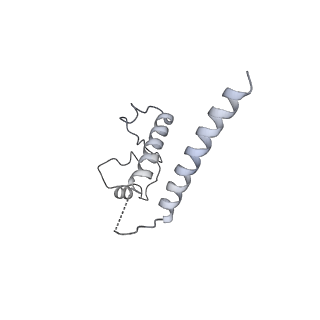30094_6m5v_C_v1-0
The coordinate of the hexameric terminase complex in the presence of the ADP-BeF3