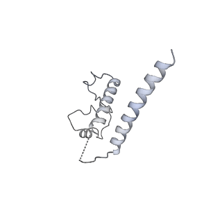 30094_6m5v_C_v1-1
The coordinate of the hexameric terminase complex in the presence of the ADP-BeF3