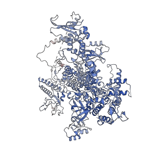 3446_5m5w_A_v1-5
RNA Polymerase I open complex