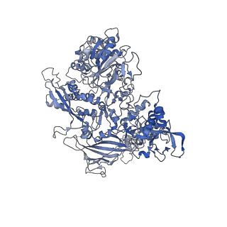 3446_5m5w_B_v1-5
RNA Polymerase I open complex