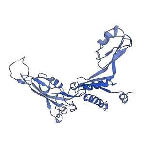 3446_5m5w_C_v1-5
RNA Polymerase I open complex