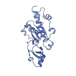 3446_5m5w_E_v1-5
RNA Polymerase I open complex