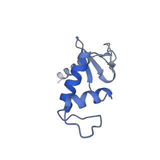 3446_5m5w_F_v1-5
RNA Polymerase I open complex