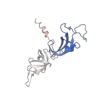 3446_5m5w_G_v1-5
RNA Polymerase I open complex