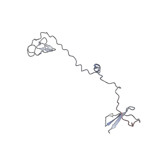 3446_5m5w_I_v1-5
RNA Polymerase I open complex