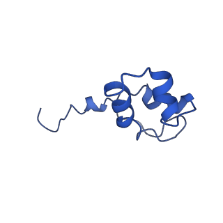 3446_5m5w_J_v1-5
RNA Polymerase I open complex