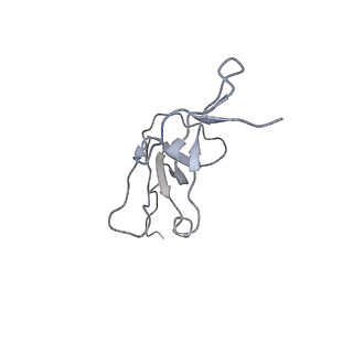 3446_5m5w_M_v1-5
RNA Polymerase I open complex