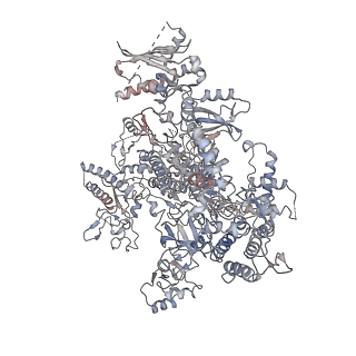 3447_5m5x_A_v1-3
RNA Polymerase I elongation complex 1