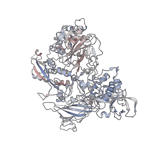 3447_5m5x_B_v1-3
RNA Polymerase I elongation complex 1