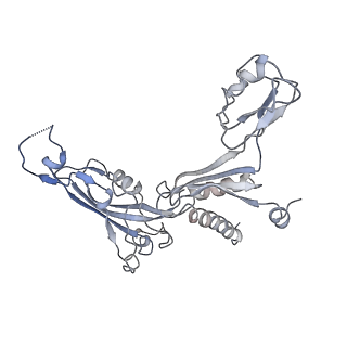 3447_5m5x_C_v1-3
RNA Polymerase I elongation complex 1