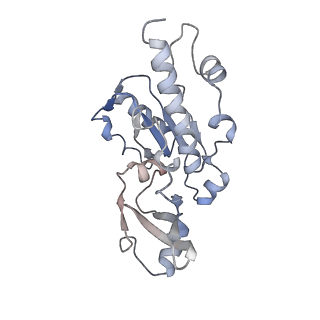 3447_5m5x_E_v1-3
RNA Polymerase I elongation complex 1