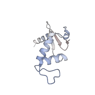 3447_5m5x_F_v1-3
RNA Polymerase I elongation complex 1