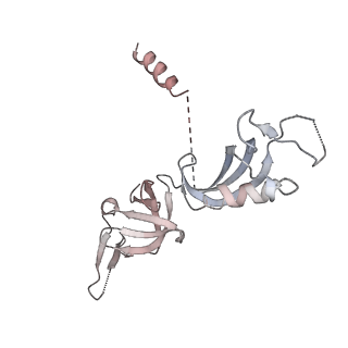 3447_5m5x_G_v1-3
RNA Polymerase I elongation complex 1