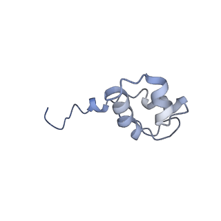 3447_5m5x_J_v1-3
RNA Polymerase I elongation complex 1