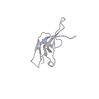 3447_5m5x_M_v1-3
RNA Polymerase I elongation complex 1