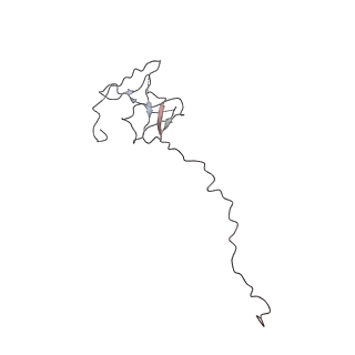 3447_5m5x_N_v1-3
RNA Polymerase I elongation complex 1
