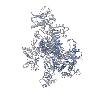 3448_5m5y_A_v1-4
RNA Polymerase I elongation complex 2