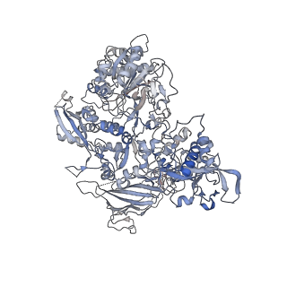 3448_5m5y_B_v1-4
RNA Polymerase I elongation complex 2