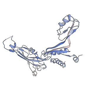3448_5m5y_C_v1-4
RNA Polymerase I elongation complex 2