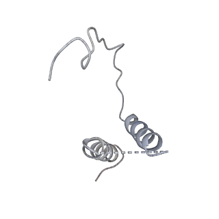 3448_5m5y_D_v1-4
RNA Polymerase I elongation complex 2