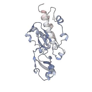 3448_5m5y_E_v1-4
RNA Polymerase I elongation complex 2