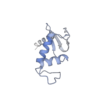 3448_5m5y_F_v1-4
RNA Polymerase I elongation complex 2