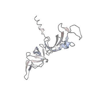 3448_5m5y_G_v1-4
RNA Polymerase I elongation complex 2