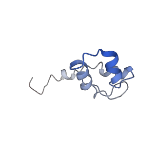 3448_5m5y_J_v1-4
RNA Polymerase I elongation complex 2