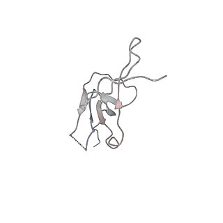 3448_5m5y_M_v1-4
RNA Polymerase I elongation complex 2