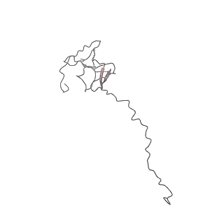 3448_5m5y_N_v1-4
RNA Polymerase I elongation complex 2