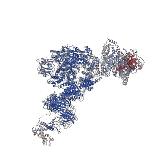 23692_7m6a_A_v1-2
High resolution structure of the membrane embedded skeletal muscle ryanodine receptor