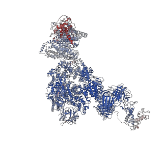 23692_7m6a_B_v1-2
High resolution structure of the membrane embedded skeletal muscle ryanodine receptor